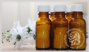 medicina homeopatica mexico como funciona la homeopatia